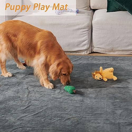PICK FOR LIFE Washable Dog Pee Pads, 48x48 Reusable Puppy Whelping Pads, Absorb Dog Mats Non-Slip Reusable Pet Training Pad for Whelping, Potty, Training, Playpen, Crate, 2PACK - size: 48"x48"-2PACK