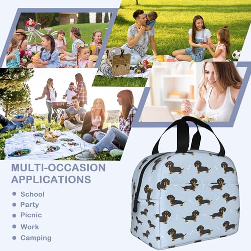 Dachshund Dog Lunch Box,Insulated Lunch Bag for Girls Boys,Reusable Lunch Box for Kids Adults School Student Work Picnic Travel - color: Dachshund Dog