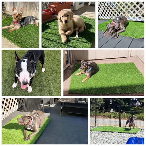 59" x 36" Fake Grass Mat for Dogs, Premium Washable Artificial Turf Grass Rug for Patio Lawn Balcony Door Dog Pet Pee Potty Training - size: 59" x 36"