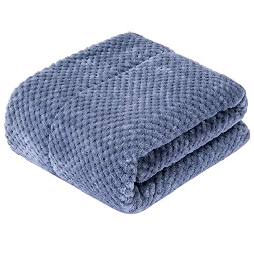 DW Plush Fleece Receiving Blanket for Dog, Cat, and Pet - Warm and Soft, Couch, Sofa, Travel and Outdoor, Camping (24" x 32", Smoked Blue) - color: Dw-smoked Blue, size: Blanket (24" x 32")