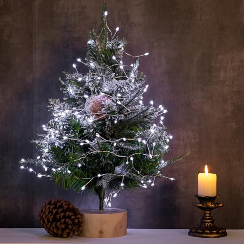 Fairy Lights Plug in, 10 Feet 100LED Cool White Silver Wire Firecracker Firefly Lights with Remote, Waterproof Copper Wire Lights for Bedroom Wreath Window Wedding Christmas Tree Decoration - color: Cool White, size: 10FT