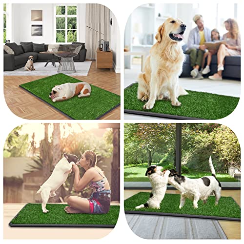 LOOBANI Large Dog Grass Pad with Tray - Dog Litter Box - Indoor Potty for Apartment and Patio Training - with 2 Packs Grass Pee Pads for Replacement, 47.6×29 Inch - size: Tray Potty 47.6*29inch