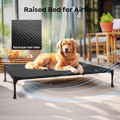 Veehoo 2 Pack Raised Dog Bed, Cooling Elevated Dog Bed, Portable Pet Cot with Washable & Breathable Mesh, No-Slip Feet, Durable Dogs Cots Beds for Large Dogs, 42" x 30", Black, CWC1803-L - color: 2Packs- Black, size: 42.0"L x 30.0"W x 7.0"Th