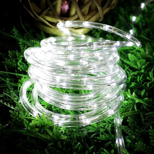 Lighting EVER 33ft 240 LED Outdoor Rope Lights Cool White 6000K, 24 V Connectable, Waterproof Clear Tube String Lights for Deck Railing, Patio Ground, Garden, Yard Lawn, Flower Bed Landscape, Camping - color: Cool White