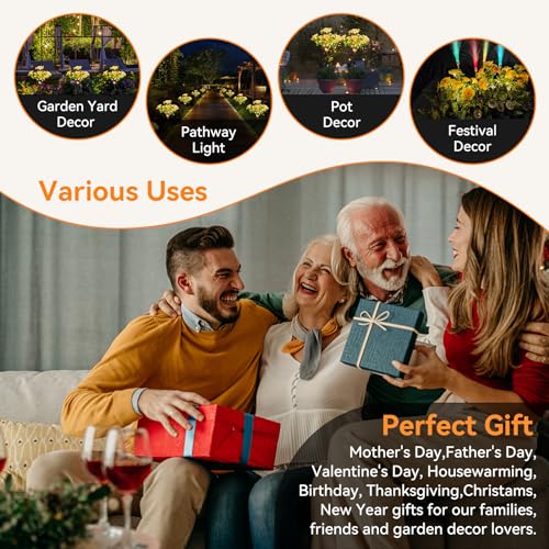 Neporal Solar Lights Outdoor Decorative, Solar Garden Lights with Carnation Flower, Solar Flower Lights Outdoor Garden Waterproof IP65 - Gardening Gifts for Women - size: 2PK
