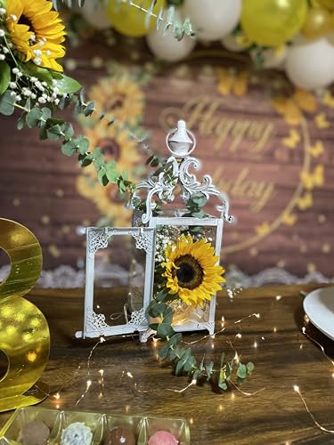 Large Candle Lantern, Decorative Hanging Lantern, Vintage Metal Tabletop Lantern for Outdoor Patio Rustic Home Decor, Candle Holders with Clear Glass (White) - color: White / 16'' / 1 Pc