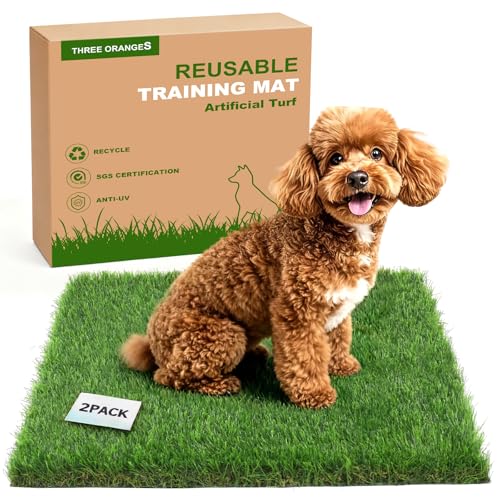 Washable Artificial Grass Pads for Dogs, 2-Pack 23x23 inch Reusable Turf Mats, Realistic Grass for Indoor Puppy Potty Training. - size: 2PCS | 23*23