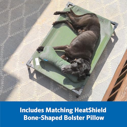 Coolaroo Pro Elevated Dog Bed with HeatShield Fabric – Advanced Cooling Raised Cot for Medium & Large Breeds, Easy-Clean, Low-to-Ground Access, Bonus Bolster Pillow – Everglade Green - color: Everglade Green, size: Large