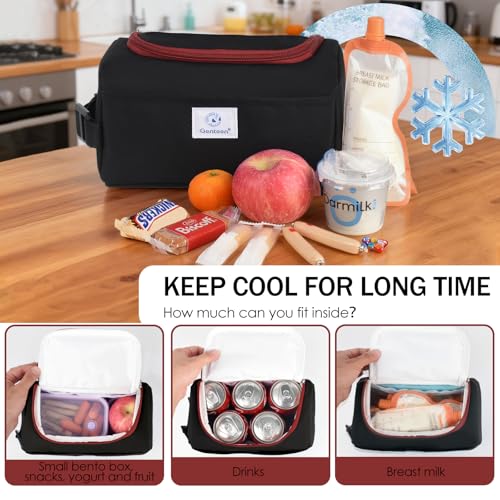 Genteen 2 Packs Freezable Snack Bag Built with Ice Packs,Small Cooler Bag Insulated Bag Reusable, Zip Closure with Buckle Handle for Travel/School/Work (Black+Blue) - color: 2pk Blue+Black