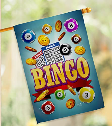 Bingo Win Night Garden House Flag Set Interests Game Bunco Dice Poker Hobbies Leisure Activity Decoration Banner Small Yard Gift Double-Sided, Made in USA
