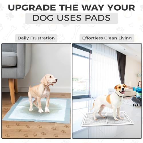 Dog Pee Pad Holder with Raised Mesh Grate – Expandable Indoor Puppy Potty Tray, Heavy Duty Plastic, Keeps Paws Dry, Fits Standard 24x15 Pads – Alpha Dog Series