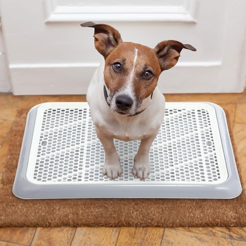 Mifoci Dog Training Pad Holder with Mesh Tray Non-Slip Leak Proof Puppy Potty Tray for Small Medium Large Dogs Pee Pad Holder Easy Clean Indoor Bathroom(19.69 x 14.17 Inch) - size: 19.69 x 14.17 Inch