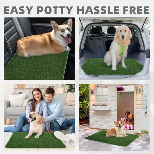 KOOLTAIL Dog Grass Pad with Washable Pee Pads for Puppy Potty Tray,2 Pack 20"*25" Soft Artificial Turf Multipurpose Reusable Grass Patch Pads for Dogs Litter Box, Leakproof for Doggie Training Indoor - size: 20" X 25" (2 Pack)