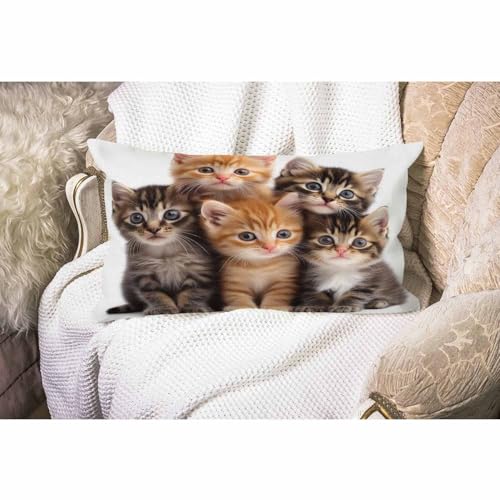 Smooffly Cute Cats Farmhouse Oblong Rectangle Kittens Family Cats Decorative Throw Pillow Case,12"x20" inch - color: Swn06