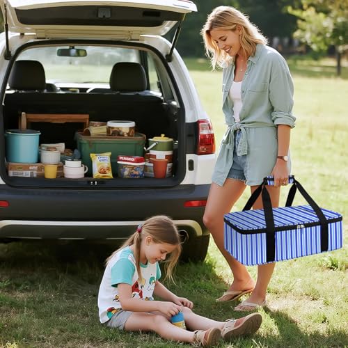 Coobiiya Insulated Casserole Carrier,Lasagna Lugger Tote Keeps Food Hot or Cold,Thermal Lunch Bag Warmer & Cooler Carrier Bag,Portable Tote Bag Fits 9" x 13" Baking Dish for Picnic and Cookout - color: Stripes, size: Single Layer: 15.75 × 11.8 × 4.7 in