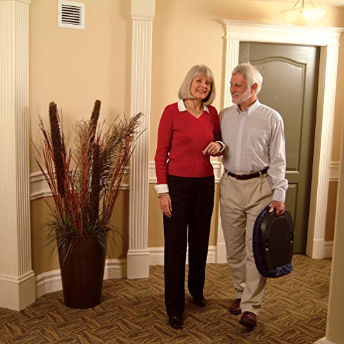 Carex Upeasy Seat Assist - Chair Lift And Sofa Stand Assist - Portable Lifting Seat With Support Up to 220 Pounds, Provides 70% Assistance, Blue - style: Wt Cap: 95 lbs - 220 lbs