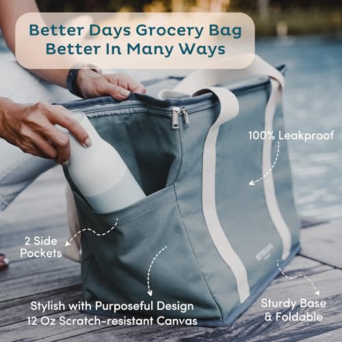 Nook Theory Reusable Insulated Grocery Bag - Leak Proof, X Large Cooler Bag - Insulated Shopping Bags for Groceries - Travel Cooler Bag for Frozen and Hot Food with Zippered Top (Caramel Cream) - color: Caramel Cream