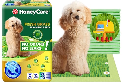 HoneyCare Fresh Grass Print/Scent All Absorb XL Training Pads, 26x30, 40 Ct - size: Extra Large
