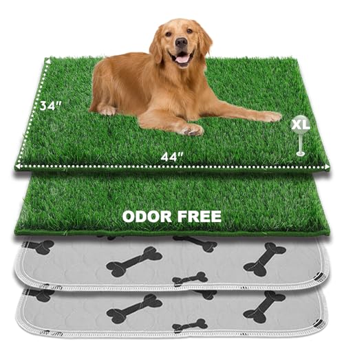 HQ4US 4LEGS Dog Pee Grass with Washable Pee Pads for Dog Litter Box 2 Sets, Extra Large Ultra-Absorbent Artificial Grass Pads for Dogs Potty Grass with Reusable Puppy Pads for Indoor Potty Training - size: XL - 44”×34”