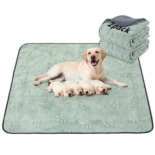 LOOBANI 2 Packs Extra Large Washable Pee Pads for Dogs, Non-Slip Reusable Dog Mat, Waterproof and Leakproof Whelping Pad for Potty Training, Playpen, Crate,Floor and Bed, 54x54in - color: Green Dog Element, size: 54"x54"(Pack of 2)
