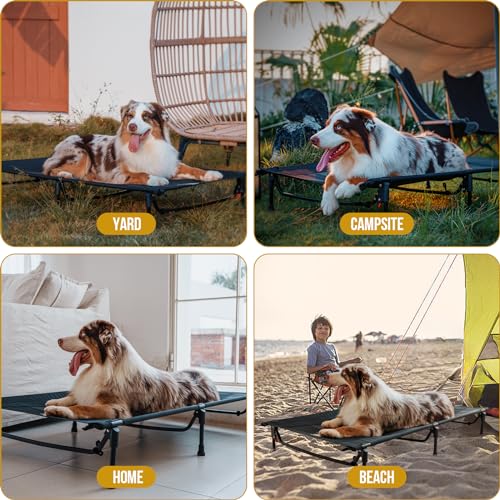 ONETIGRIS Elevated Dog Bed, Outdoor Dog Cod Large Raised Dogs Bed with Chew Proof Mesh, No-Slip Portable Dogs Cot Bed for Indoor & Outdoor Portable - color: Black, size: Medium