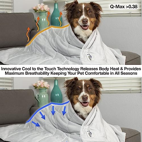 PetFusion Premium Cat and Dog Cooling Blanket. Lightweight Pet Blanket | Machine Washable | Multiple Sizes: for Pets Small to Extra-Large | Multiple Colors: Grey and Brown - color: Cool Grey, size: Small (27x31 inch)