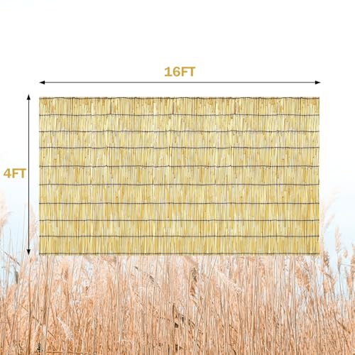 KOIUEYW Bamboo Reed Fencing, Natural Reed Fence Rolls 4 Feet High, Decorative Bamboo Privacy Curtains for Patio Garden Balcony Backyard Outdoor, 4 x 16 FT - color: Natural, size: 4 x 16 FT