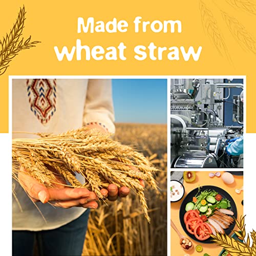 Teivio 32-Piece Kitchen Plastic Wheat Straw Dinnerware Set, Service for 8, Unbreakable Modern Dish Set - Dinner Plate/Dessert Plate/Cereal Bowl/Cup, for Apartment Essentials, Outdoor Camping, Black - color: Black