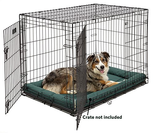 MidWest Homes for Pets Maxx Dog Bed for Metal Crates, 42 Inch Green - color: Green, size: 42 Inch