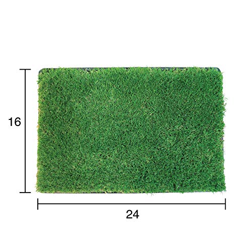 Gotta Go Grass - Real Dog Grass for Pet Training, Natural Grass Patch Potty, Refill Dog Grass Pad, Puppy Potty Training, Dog Accessories, Perfect Indoor/Outdoor Portable Potty, Pet Loo (16" x 24") - size: 1 Pack, Refill (no tray)