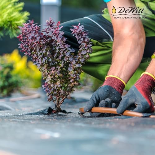 Dewitt 2-Pack Pro-5 Weed Barrier Fabric 5 oz, 6 x 250 Feet – Heavy-Duty Woven Landscape Ground Cover Mat for Raised Garden Bed, Greenhouse Gardening, Outdoor Landscaping, and Commercial Planting - size: 2 Pack, style: 6' x 250'
