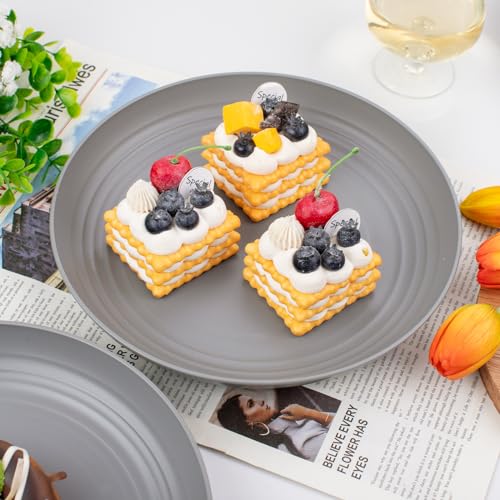 supernal 16pcs Dark Grey Wheat Straw Plates, Deep Dinner Plastic Plates, Reusable Plate, 10 inch Unbreakable Plate Set for Picninc, Camping, Lightweight Microwave Dishwasher Safe - color: Dark Gray