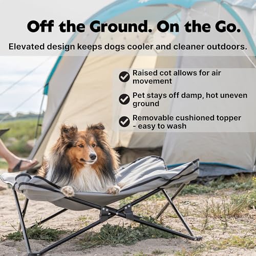 Trixie Camping Cot for Small Dogs up to 35 lb, Elevated Pet Travel Bed 27.2" x 27.2", Portable Steel Frame Lounger with Removable Topper, Foldable Design, Storage Bag Included - size: Small