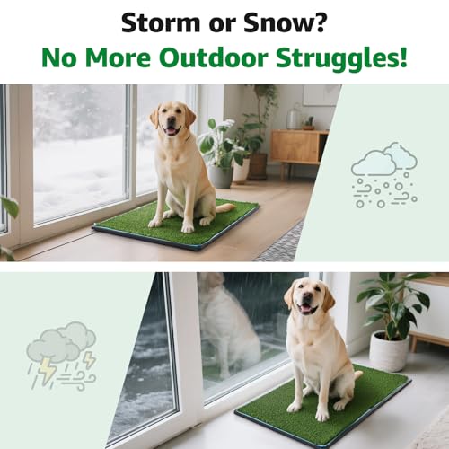 Grass Pad for Dogs Potty: 35.5” x 23.6” Indoor Dog Grass Pad with Tray 2 Pcs Replacement Artificial Grass Mats-5 Pics Disposable Puppy Pads for Puppy Training Apartment,Balcony & Apartment Use