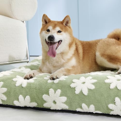 LE SURE Dog Beds Large Sized-Thick Shredded Chopped Foam Pet Bed Indoor as Bed Gift with Removable Cover, Cute Modern Fuzzy Plush & Anti Slip Bottom, Green - color: Green, size: 35.0"L x 22.0"W x 4.0"Th