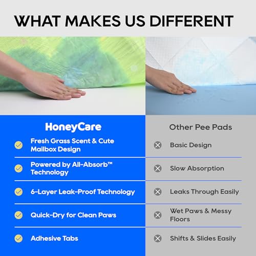 HoneyCare Fresh Grass Print/Scent All Absorb XL Training Pads, 26x30, 40 Ct - size: Extra Large