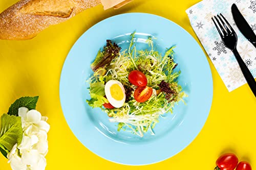 POSATE 60PCS Baby Blue Disposable Plastic Plates, Heavy Duty Plates for Wedding/Party, 30PCS Dinner Plates 10.25’’ and 30PCS Dessert/Salad Plates 7.5’’, Blue Plates for Party Event - color: Light Bule