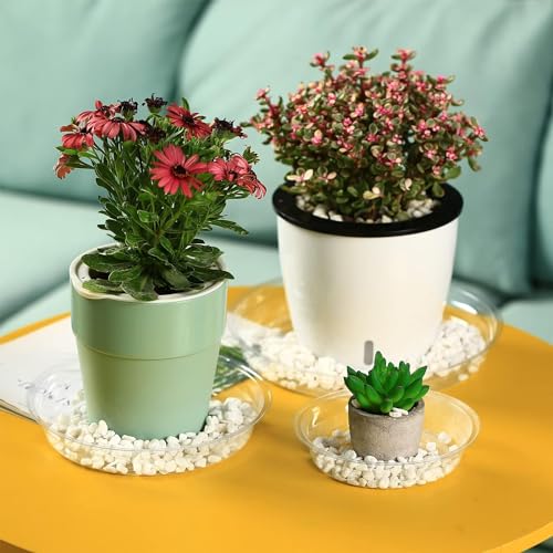 30 Packs Clear Plant Saucers for Indoor Outdoor Use 4/6/8/10/12/14 Inches Heavy Duty Plastic Plant Trays for Planter Bulk Flower Pot Drip Trays to Catch Water, Round Transparent - size: 4,6,8,10,12,14 inches