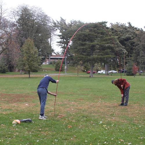 Disc Store Portable Goaltimate Kit - Includes Regulation Goaltimate Arc, Two Iron Stakes, and Carrying Bag for Ultimate Disc Games