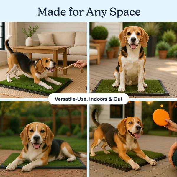 Artificial Grass Puppy Pee Pad for Dogs and Small Pets - 20x25 Inch, Reusable 3-Layer Turf Pads for Dogs with Tray - Indoor and Outdoor Fake Grass Potty Pet Supplies by PETMAKER - size: Medium 3-layer System