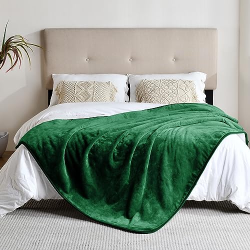 Waterproof Blanket for Bed Couch Sofa, Soft Liquid Pee Proof Pet Blanket for Dog Puppy Cat, Reversible Sherpa Fleece Furniture Protector (Green, 50x60 inches) - color: Green, size: 50x60 inches