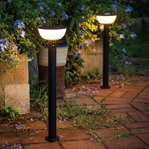 Basin Series - 24.5" Solar Pathway Lights - Walkway Lights for Outside - PIR Sensor & Three Lighting Modes - Rechargeable Battery Lasts Up to 35 Hours - 2700K - Dark Sky Friendly - 2 Pack - size: 2 Pack Pathway Lights