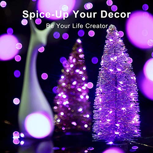 Blingstar USB Powered Fairy Lights, 2 Pack 33Ft 100 LED, Flexible Silver Wire, Mini String Lights for Christmas Tree/Halloween/Bedroom/Camping/Holiday Decoration, Purple - color: Purple