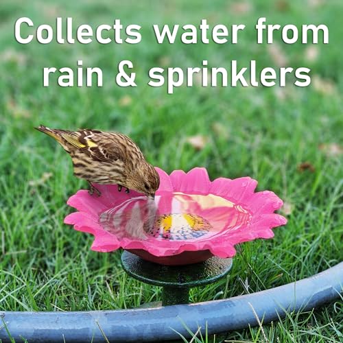 Lulu Decor, 100% Cast Iron Pink, White & Yellow Daisy Hose Guide (Set of 3) with Birds Water Feeder, Garden Hose Guide Spike, Rust Free Guide & Helps with Plant Protection