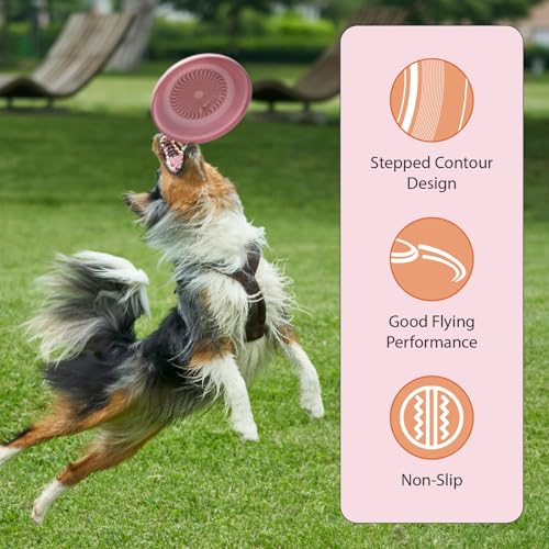 Frisbee Fastback Outdoor Flying Disc for Kids, 9.35 Inch Lightweight Sports Disc, Dog-friendly, for Beach Lawn Backyard Games and Family Fun - 100g - color: Pink