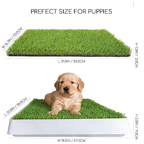 SunTurf Dog Grass Pad with Tray, Dog Litter Box, Porch Potty for Puppy Pee Training, Indoor Portable Fake Grass Pee Pad System, Artificial Grass + Pee Pad Holder