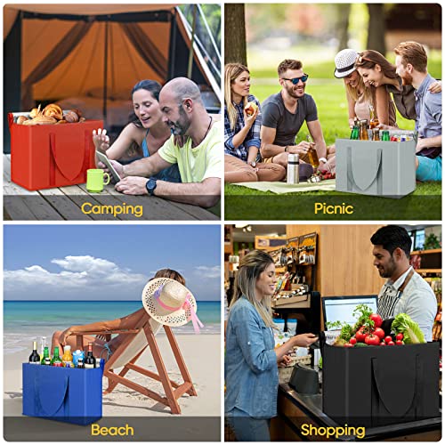 BALEINE 2Pk Insulated Reusable Grocery Bags, Collapsible Cooler Bag for Groceries, Heavy Duty Large Insulated Bag (16''x9''x13'', Spring Stroll) - color: Spring Stroll