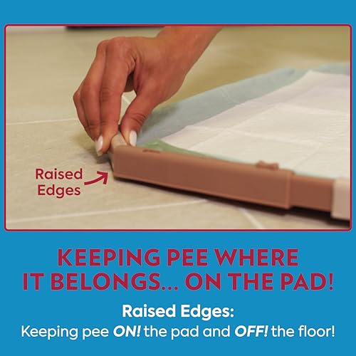 OUT! PetCare Pee Pad Holder Tray, Puppy Pads, Dog Pee Pad Tray, Puppy Essentials, Raised Edges, Portable, Dog Training, Housebreaking Essentials, Cleaning Supplies, Floor Protection, 21x21