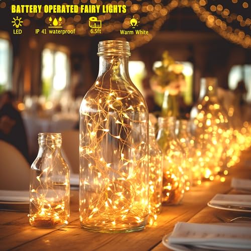 6 Pack Fairy Lights Battery Operated with Timer 2PCS Remote 6.5ft 20LED Warm White Twinkle Lights Waterproof Silver Wire Fireflies Lights DIY Mason Jar Wedding Party Christmas Centerpiece Table Deco - color: Warm White, size: 6.5ft