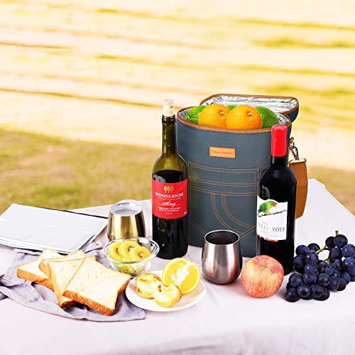 Tirrinia 4 Bottle Wine Gift Carrier - Gray, Padded, Insulated, Portable, Versatile, Stylish - color: Gray 2, size: 4 Bottle-without front pocket